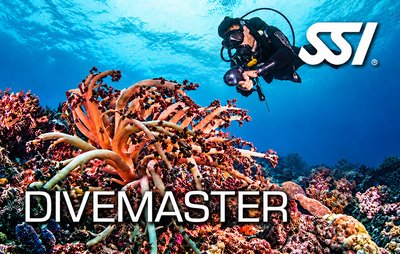 SSI Divemaster class card