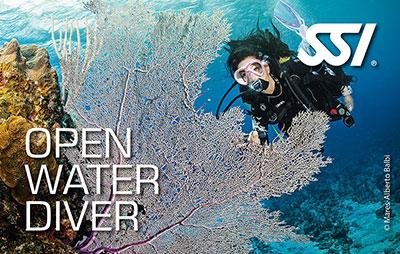 Open Water Diver card image