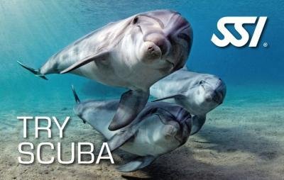 SSI Try Scuba card image