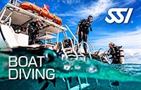 Boat Diving