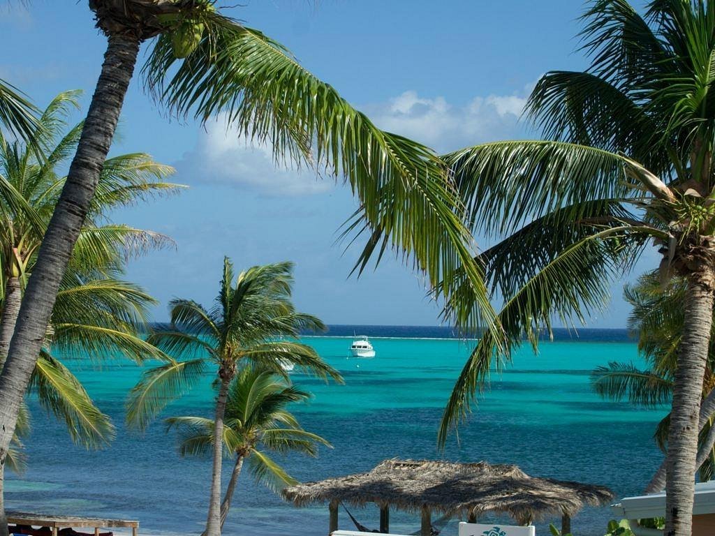 Little Cayman